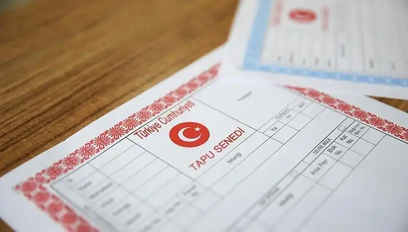 Hisseli Tapu Tuzağı: Yüzlerce Kişi Nasıl 100 Milyonluk Kayıpla Karşılaştı?