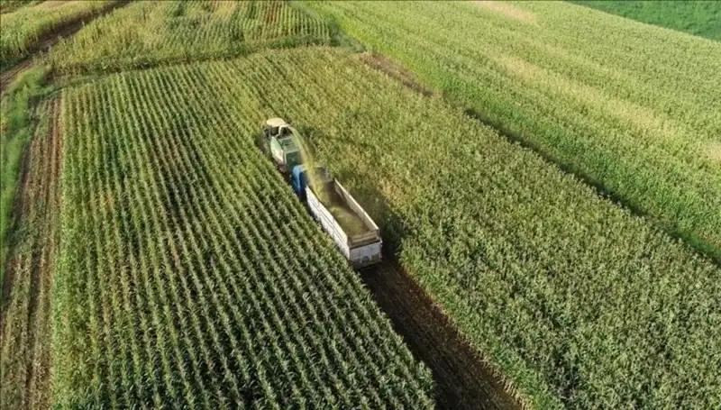 Mazot ve Gübre Desteği Ödemeleri İçin Geri Sayım: 2025 Mart Ayı Durumu