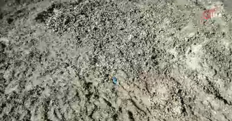 İstanbul'da Kayıp Çinli İş İnsanının Gizemli Cinayeti Çözüldü