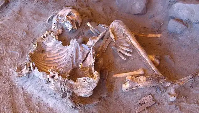 Yeni Mumya Keşfi: İnsanlığın Soy Ağacına Işık Tutan Bulgular