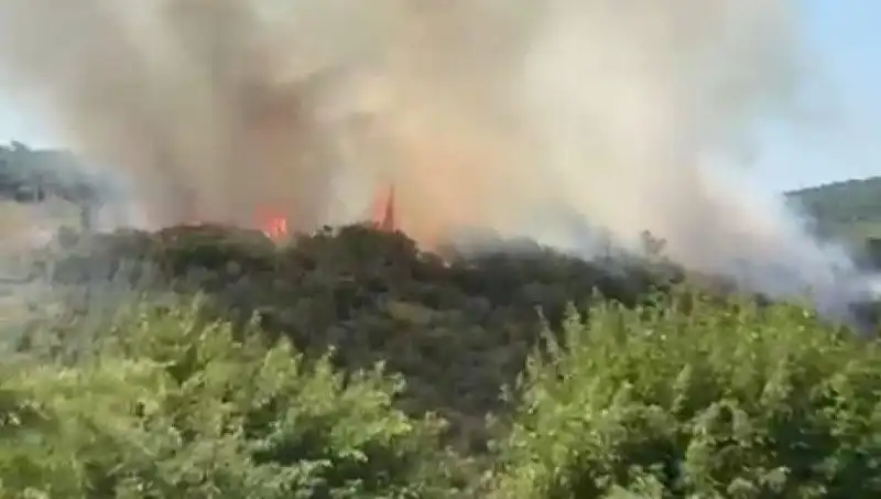 İstanbul Orman Yangını: Mahalleler Tahliye Edildi, Acil Önlemler Alındı