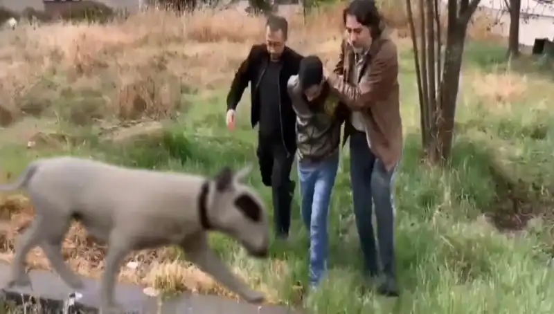 430 Bin Lira Değerindeki Şampiyon Köpeği Çalan Hırsız Tutuklandı