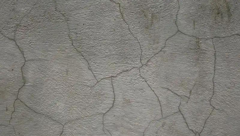 Canlı Beton: İnşaat Dünyasında Devrim Yaratan Yeni Malzeme