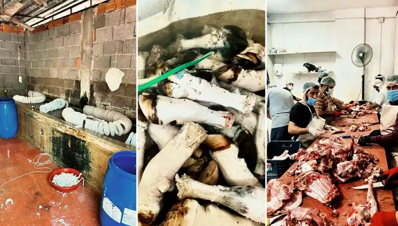 Adana'da Skandal: Yüzlerce Kilo Paça Ele Geçirildi ve İnsanı Şoke Etti