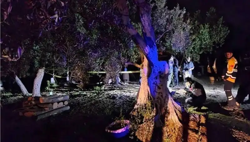 Çiftlikte Yaşanan Baltalı Vahşet: Bir Tutuklama Gerçekleşti