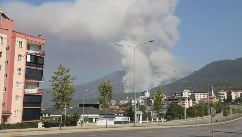 Denizli’de Orman Yangını: Gözaltındaki Şüphelinin Gizemi Çözülüyor