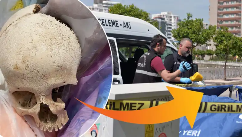 Çöp Alanında Bulunan Kafatasının Gerçekleri: Uzman Doktor Gözaltında