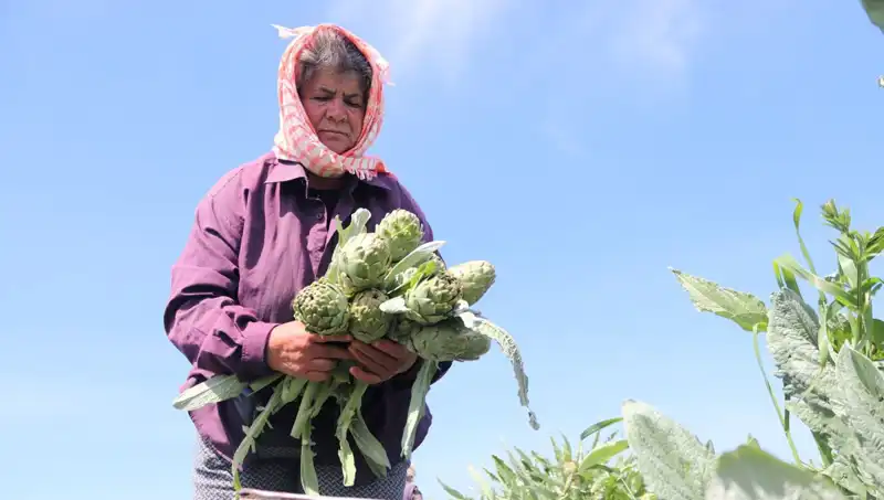 Tarım Ürünleri Fiyatlarında Şaşırtıcı Artış: Tezgahlarda Tanesi 50 TL