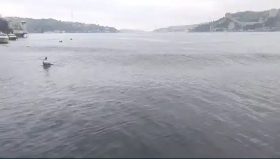 İstanbul'da 6,2 Büyüklüğünde Depremin Ardından Maraş Tabanlı Tsunami Tehlikesi!