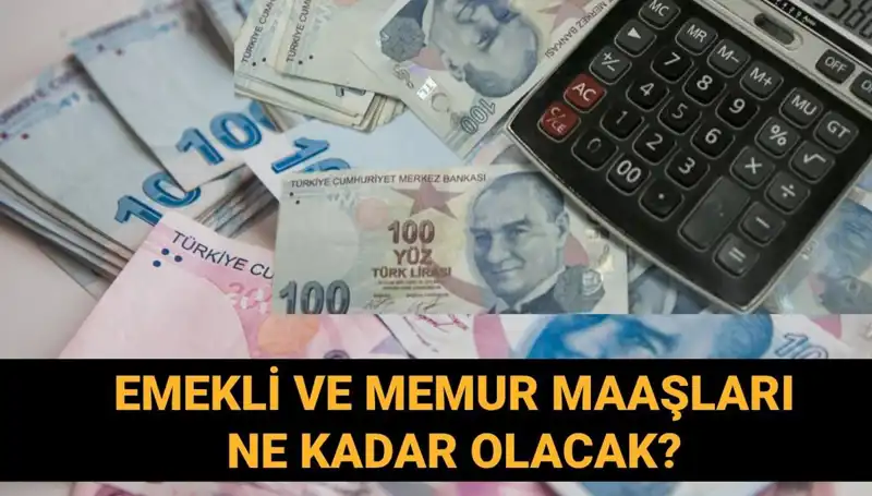 2025 İçin Emekli ve Memur Maaş Zammı: Temmuz Hesaplamaları Neler Söylüyor?