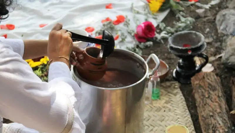 Ayahuasca: Şifalı Çayın Derin Doğası ve Yasal Durumu
