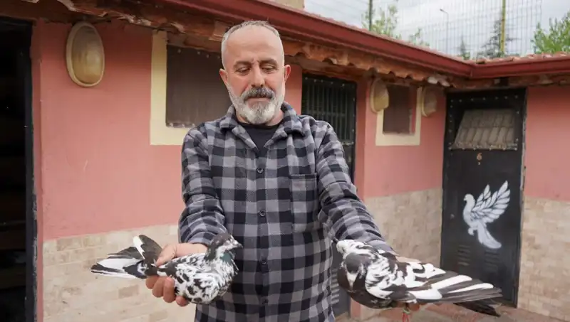 42 Yıllık Hobi, Şimdi Bir Profesyonel Tesise Dönüştü: İl Dışından Yoğun Talep