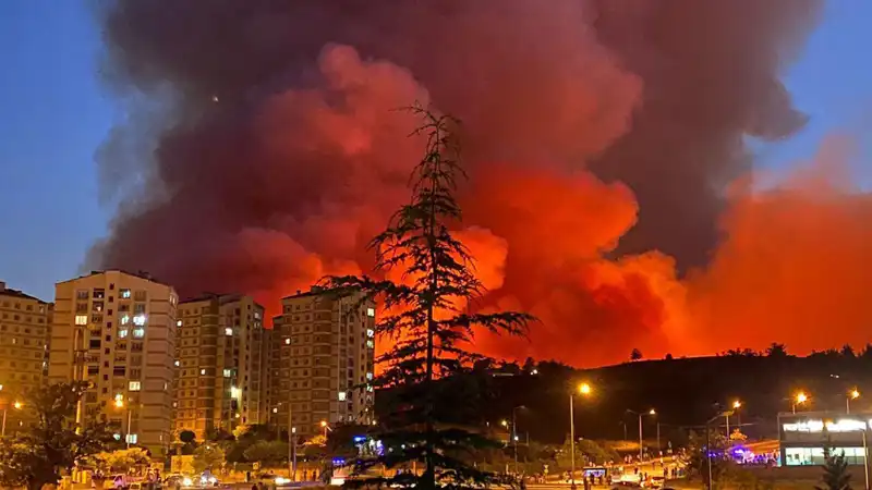 Bursa'da Yangın Felaketi: Şehri Saran Alevler Ne Gözlerimizi Terk Edecek?