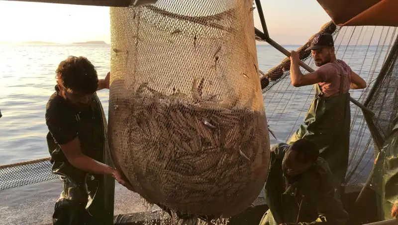 Balıkçılar Grevde: İhlal Eden Tekne Sahiplerine Yüksek Ceza Kesilecek