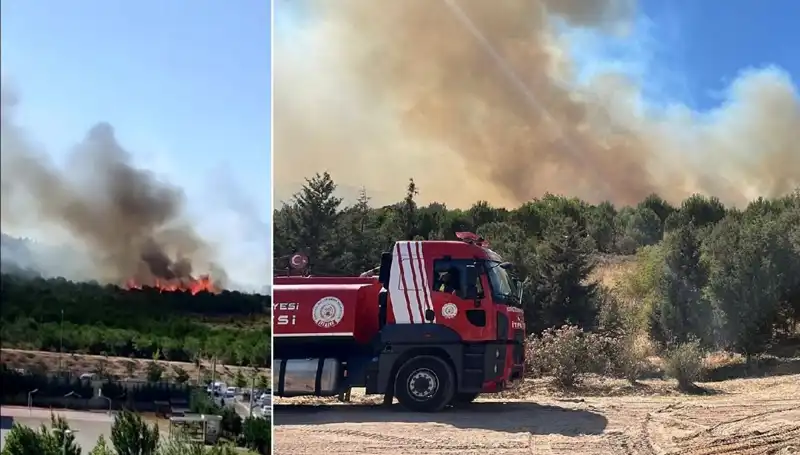Gebze'de Orman Yangını: Doğa ve Yerleşim Alanları Tehlikede!