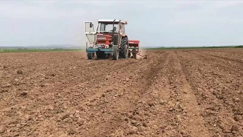 Son 35 Yılın En Kurak Mart Ayı: Yağışlar Yüzde 59 Düştü!