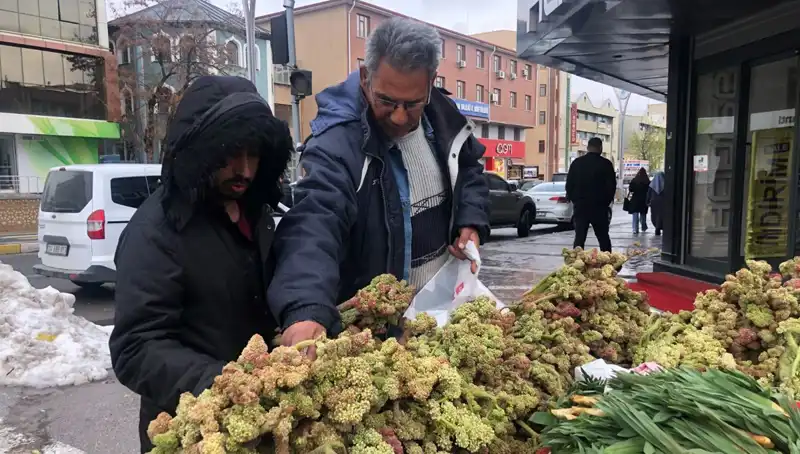 Kendiliğinden Yetişen Şifa: Kanserle Mücadelede Yeni Bir Umut Kaynağı