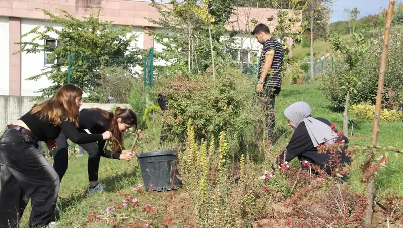 Düzce'nin Yetenekli Genci, Hayalini Gerçekleştirerek Dünya Sahnesinde Parlıyor!